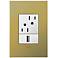 adorne Brushed Brass 1-Gang+ Cast Metal Wall Plate with Outlets