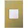 adorne Brushed Brass 1-Gang Cast Metal Wall Plate with Switch