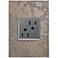 adorne Burnished Steel 1-Gang Wall Plate w/ 15A Outlet