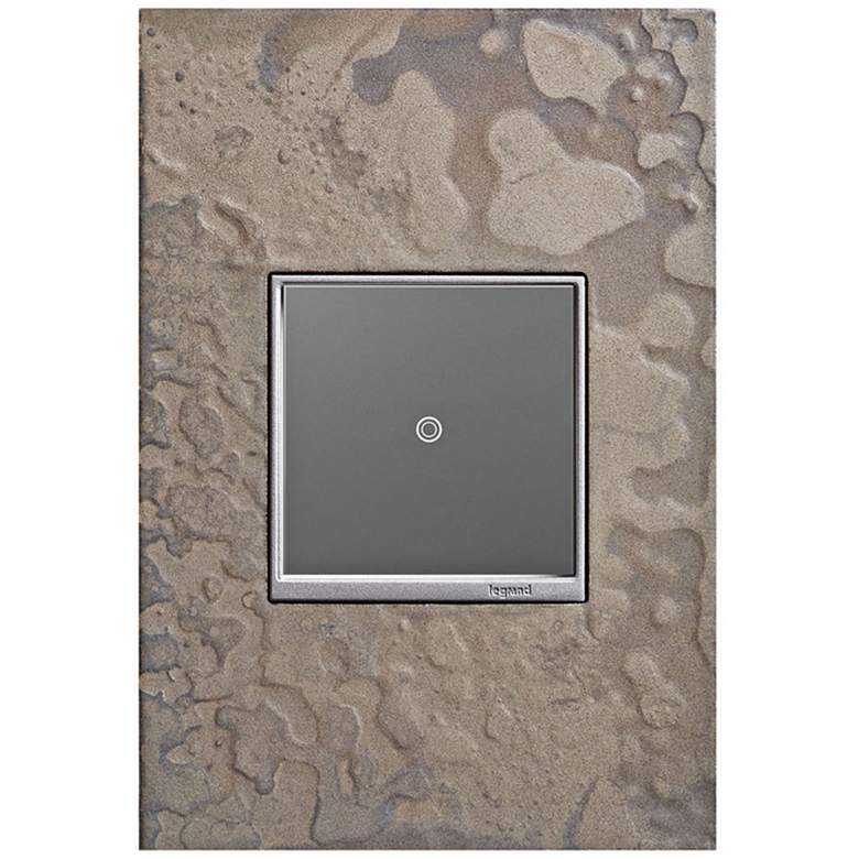 Image 1 adorne Burnished Steel 1-Gang Wall Plate w/ sofTap Switch