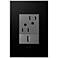 adorne Graphite 1-Gang+ Wall Plate w/ Outlets