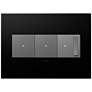 adorne Graphite 3-Gang Wall Plate w/ 2 Switches and Dimmer
