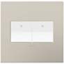 adorne Greige 2-Gang Wall Plate w/ 2 Switches