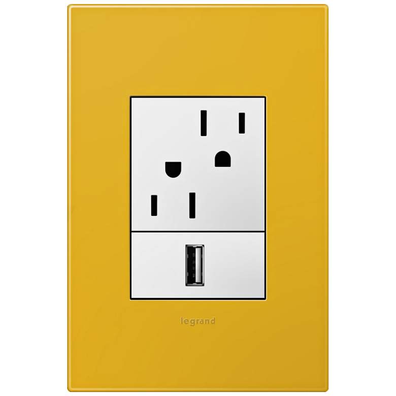 Image 1 adorne Honey 1-Gang+ Wall Plate w/ Outlets