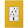 adorne Honey 1-Gang+ Wall Plate w/ Outlets