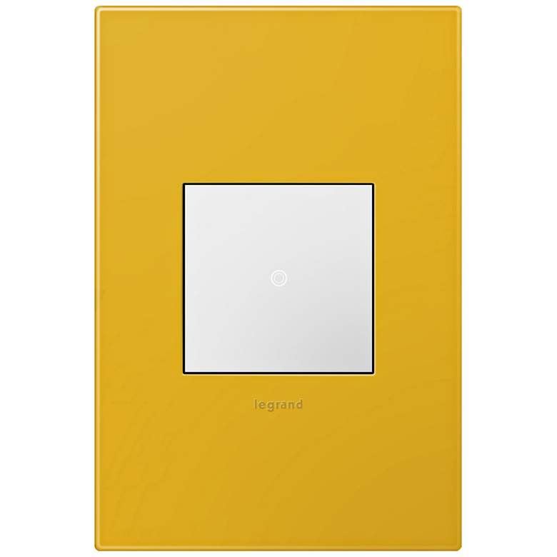 Image 1 adorne Honey 1-Gang Wall Plate w/ Switch