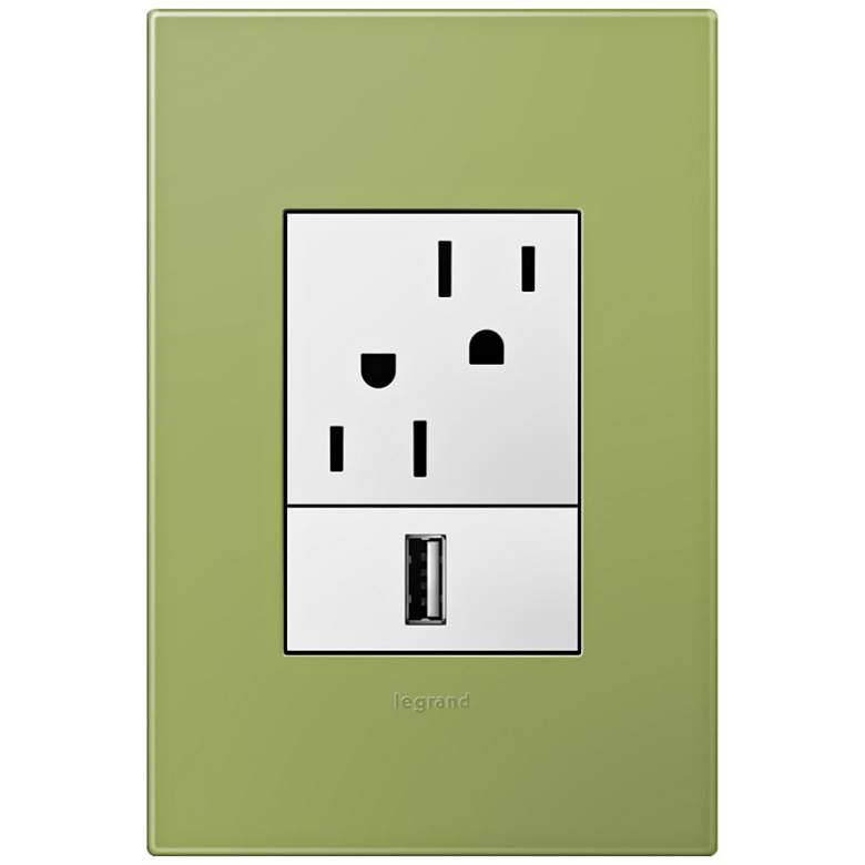 Image 1 adorne Lichen Green 1-Gang+ Wall Plate w/ Outlets