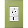 adorne Lichen Green 1-Gang+ Wall Plate w/ Outlets