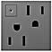 adorne® Magnesium 15A Energy-Saving On-Off Wall Outlet