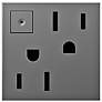 adorne&#174; Magnesium 15A Energy-Saving On-Off Wall Outlet