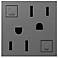 adorne® Magnesium Tamper-Resistant 15A GFCI Wall Outlet