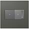 adorne Moss Grey 2-Gang Wall Plate w/ Switch and Dimmer