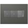adorne Moss Grey 3-Gang Wall Plate w/ 2 Switches and Dimmer