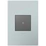 adorne Pale Blue 1-Gang Wall Plate w/ Switch