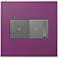 adorne Plum 2-Gang Wall Plate w/ Switch and Dimmer