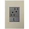 adorne Titanium 1-Gang+ Wall Plate w/ Outlets
