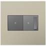 adorne Titanium 2-Gang Wall Plate w/ Switch and Dimmer