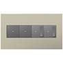 adorne Titanium 4-Gang Wall Plate w/ 2 Switches and 2 Dimmers