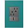 adorne Turquoise Blue 1-Gang+ Wall Plate w/ Outlets
