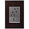 adorne Wenge Wood 1-Gang+ Real Metal Wall Plate w/ Outlets