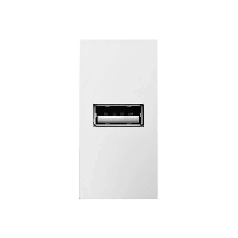 Image 1 adorne® White 1/2 Gang USB Wall Outlet