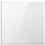 adorne&#174; White Glass 15A iTouch Light Switch