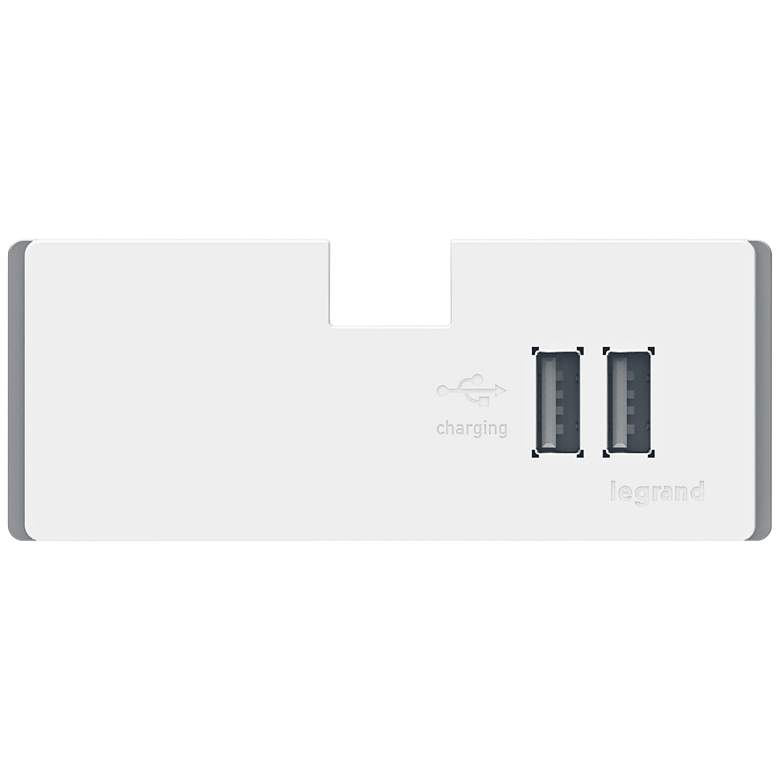 Image 1 adorne&#174; White USB Outlet Module