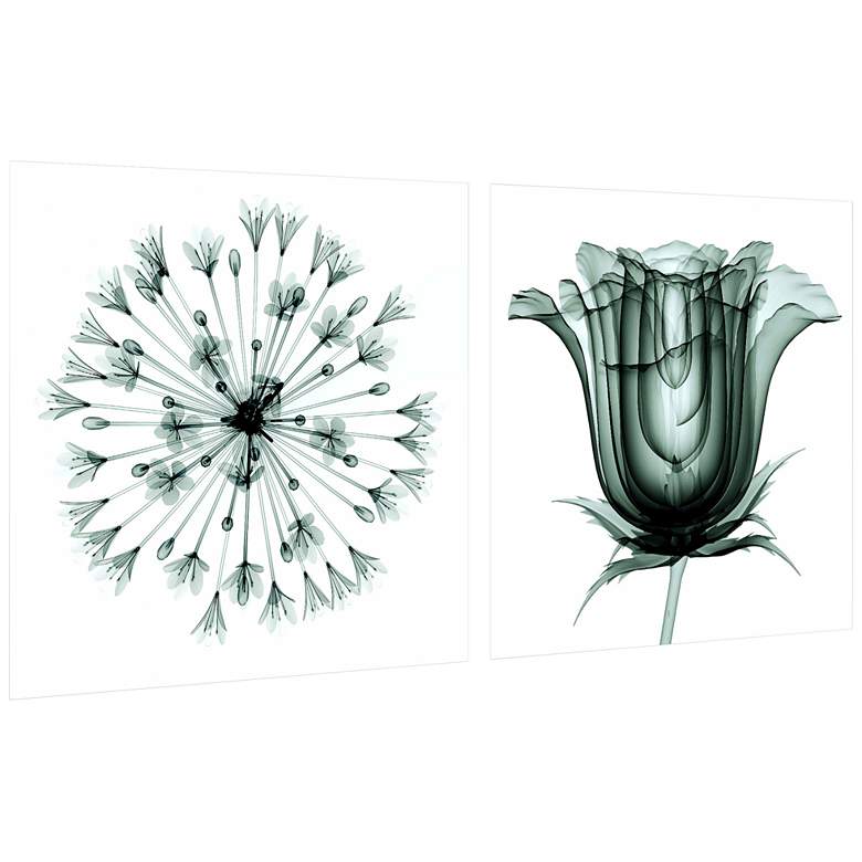 Image 2 African Bluebell and Rose Veil 48" Wide 2-Piece Wall Art Set