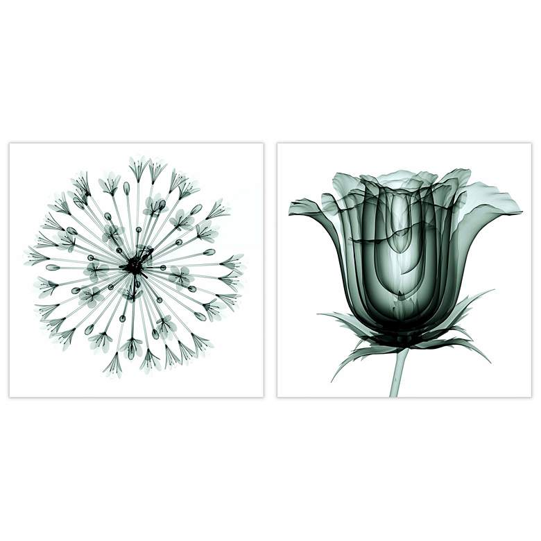 Image 4 African Bluebell and Rose Veil 48" Wide 2-Piece Wall Art Set more views