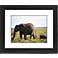 African Elephant And Calf Black Frame 23 1/4" Wide Wall Art