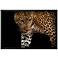 African Leopard - Stalk 51"W x 35"H Framed Art