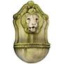 Aged Lion 23 1/2" High White Moss Outdoor Wall Fountain