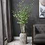 Thumbnail1 of Aldis 77.5-in High Potted River Birch