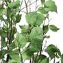 Thumbnail3 of Aldis 77.5-in High Potted River Birch more views
