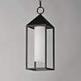 3_Aldous 1-Light Outdoor Pendant Black more views