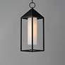 4_Aldous 1-Light Outdoor Pendant Black more views