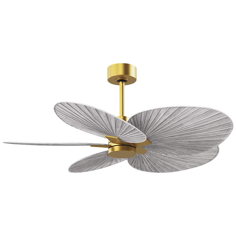 Image 1 Alessandra Tropical 48" Brass Ceiling Fan w/ Barn Wood Blades
