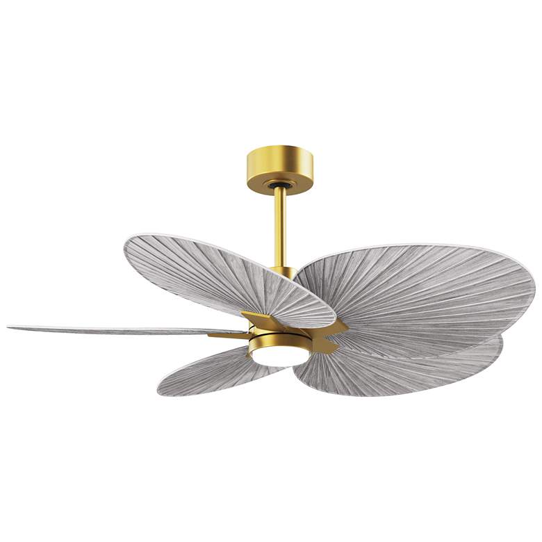Image 1 Alessandra Tropical 48" Brass LED Ceiling Fan w/ Barn Wood Blades