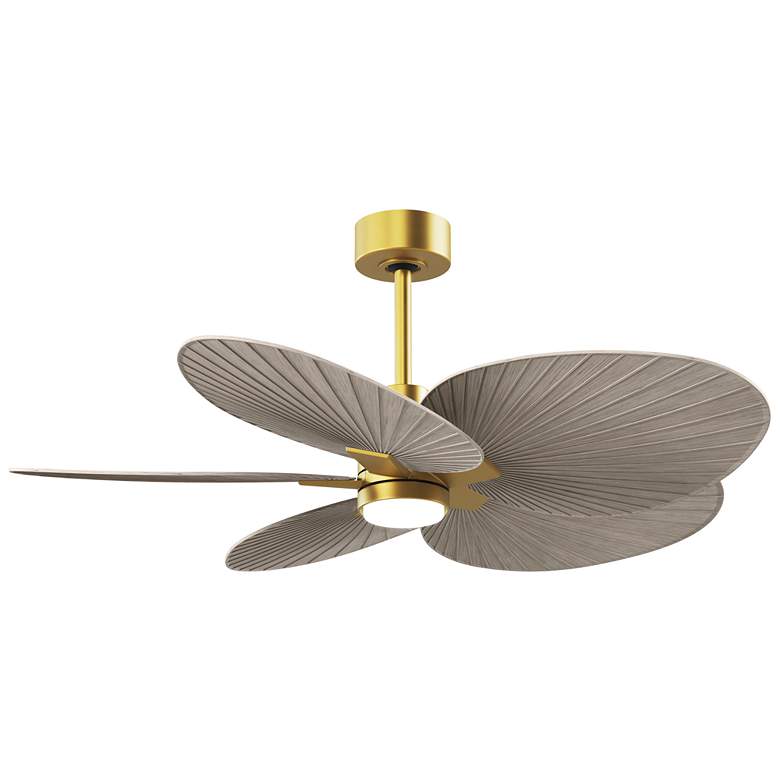 Image 1 Alessandra Tropical 48" Brass LED Ceiling Fan w/ Gray Ash Blades