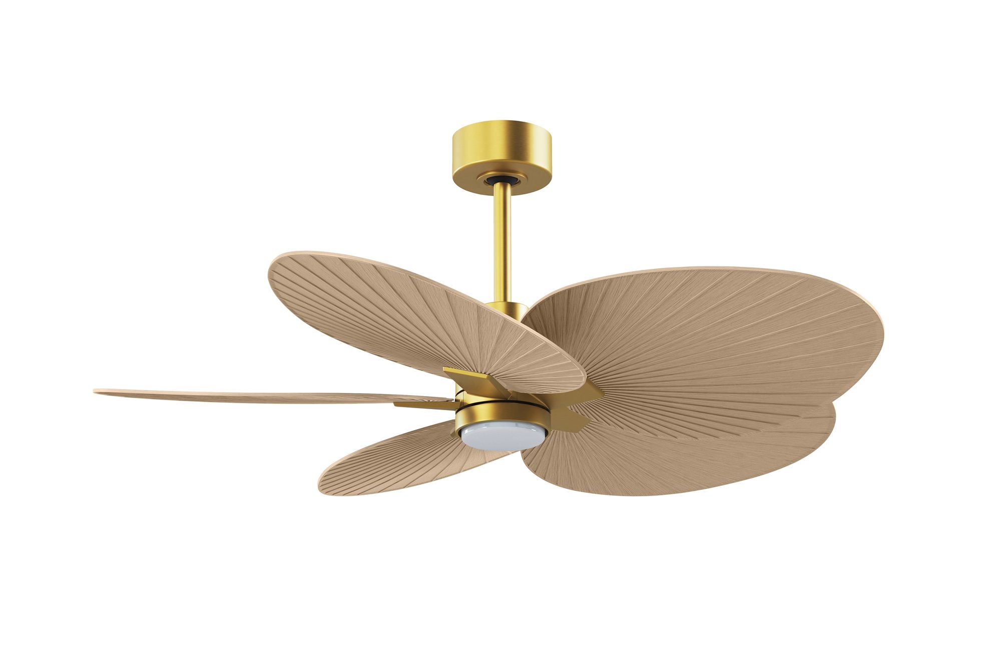 Image 2 Alessandra Tropical 48" Brass LED Ceiling Fan w/ Light Maple Blades more views