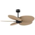 Matthews Fan Alessandra Tropical Black Collection