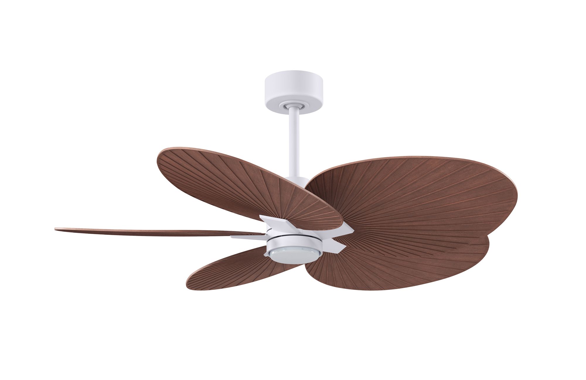 Image 2 Alessandra Tropical 48" Matte White LED Ceiling Fan w/ Walnut Blades more views
