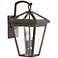 Alford Place 14" High Oil Rubbed Bronze Outdoor Wall Light