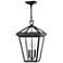 Alford Place 19 1/2" High Black Outdoor Hanging Light