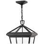 4_Alford Place 19 1/2" High Black Outdoor Hanging Light more views