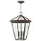 Alford Place 19 1/2" High Brown Outdoor Hanging Light