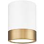 2_Algar 6" Wide Matte White and Modern Gold LED Ceiling Light