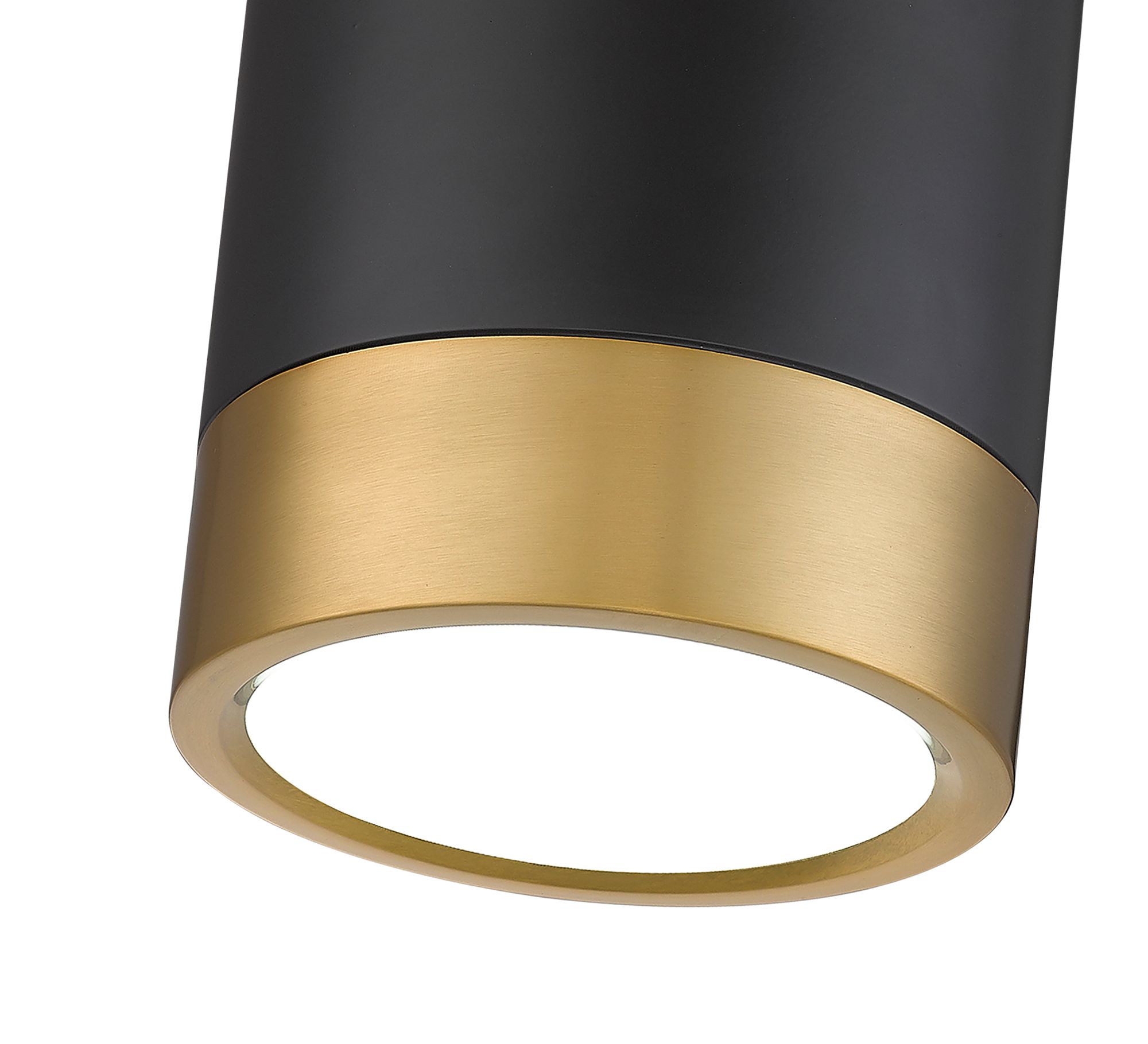 Algar by Z-Lite Matte Black + Modern Gold 1 Light Flush Mount in scene