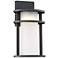 Aline 13" High Black Finish Modern LED Outdoor Wall Light