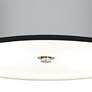 All Silver Giclee Energy Efficient Ceiling Light